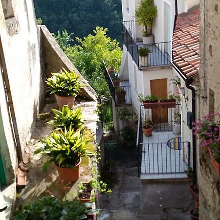 B&B Lo Straniero Rivello Ngoại thất bức ảnh